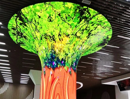 6.Flexible LED Display