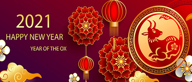 HSC LED Wishes All the Customers Happy Spring Festival