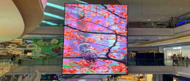 What Are the Application of LED Transparent Screen